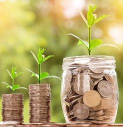 Should you use automated, yield-based pricing?