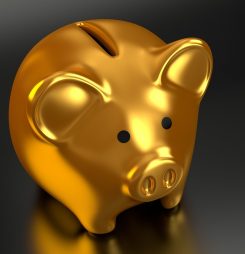 2019 O LICENSE FINANCE RULES